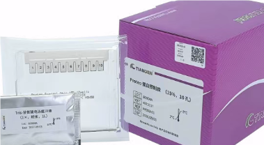 高效蛋白实验黄金搭档，开启“一站式”电泳新体验！