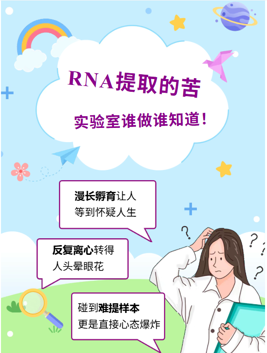 QQ_1778306850809.png
