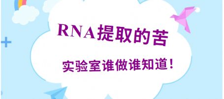 【5-8分钟RNA速提】全样本通杀+效率拉满！
