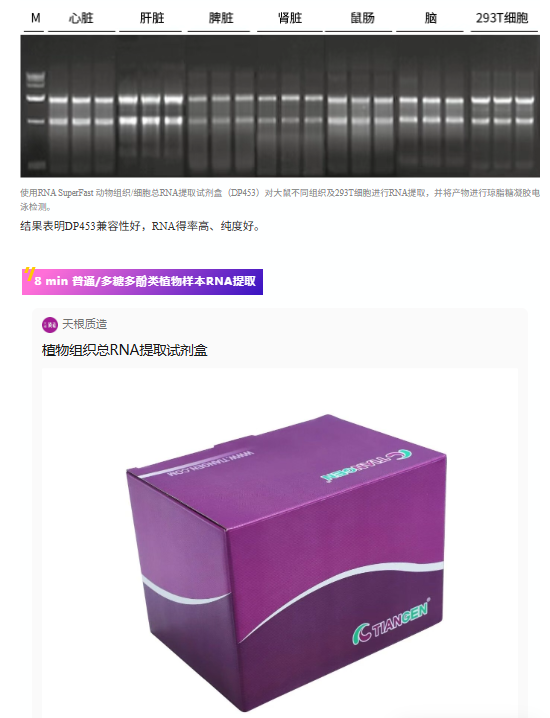 QQ_1778307004624.png