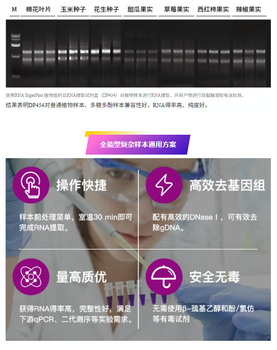 QQ_1778307020153.png