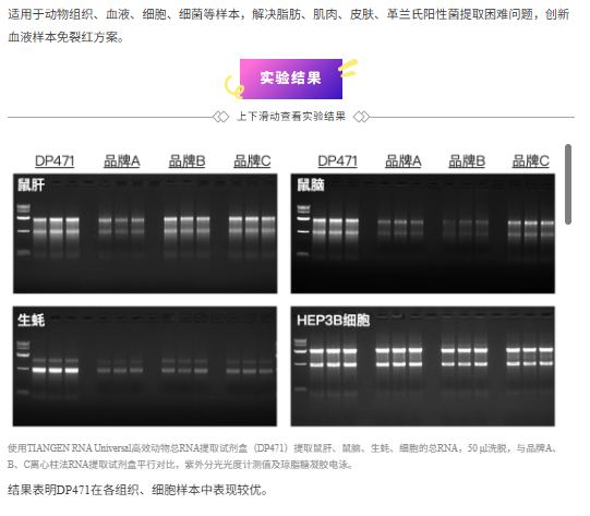 QQ_1778307058789.png