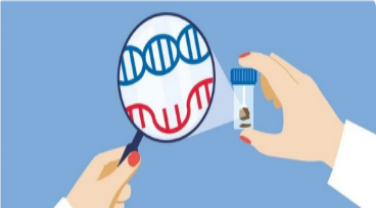 从“提不出来”到“检得准”：粪便及其污染样本病原核酸提取